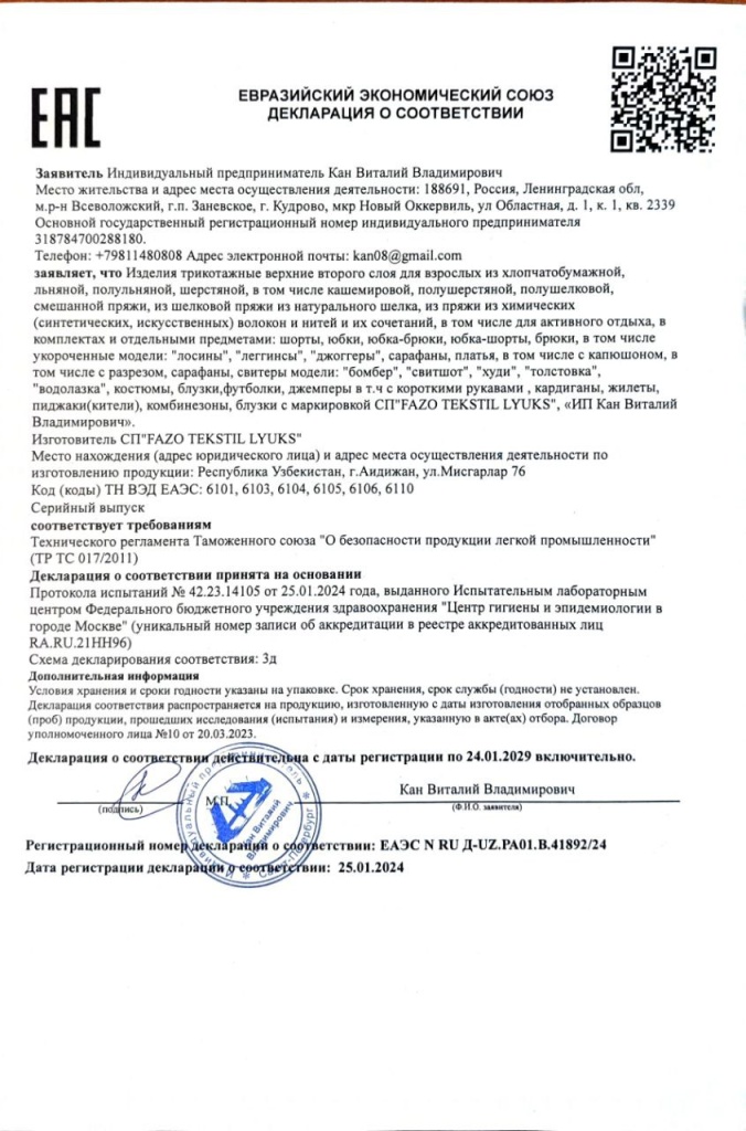 Декларация ИП Кан (второй слой).jpg