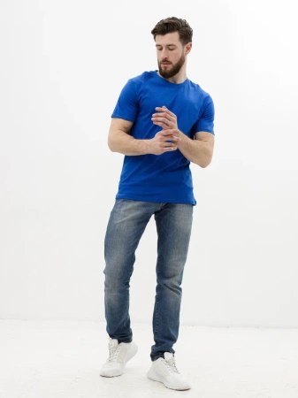 Мужская базовая футболка василёк