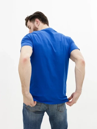 Мужская базовая футболка василёк